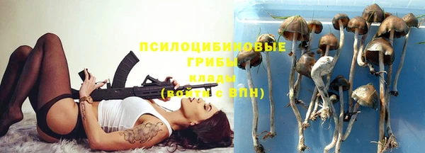 метадон Алзамай
