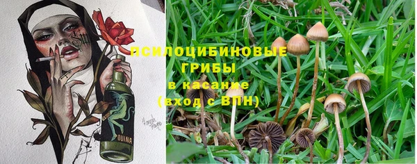 метадон Алзамай