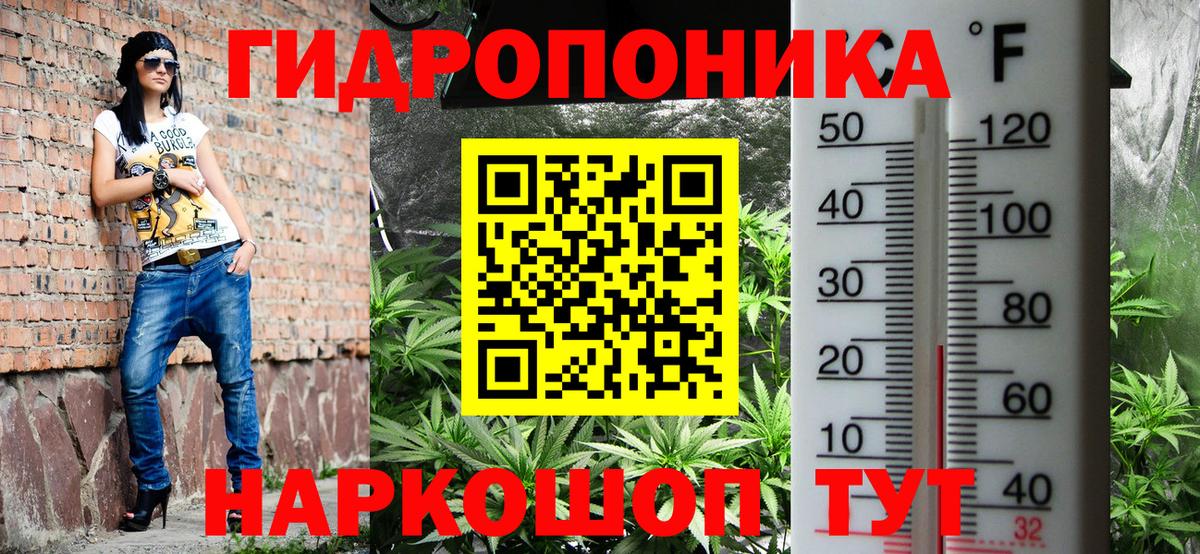 Бошки марихуана индика  Бошки Шишки план  МАРИХУАНА гибрид  Чусовой  Вход с VPN 